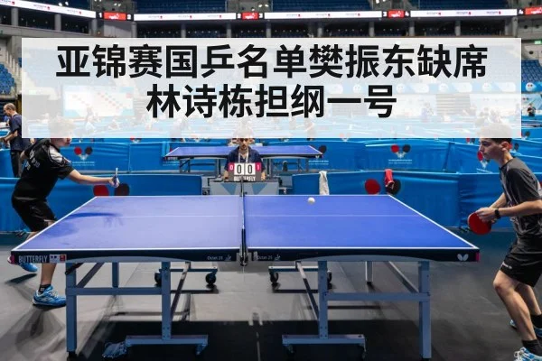 ping pong competition